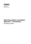 Appendix 2 – CIR guidance